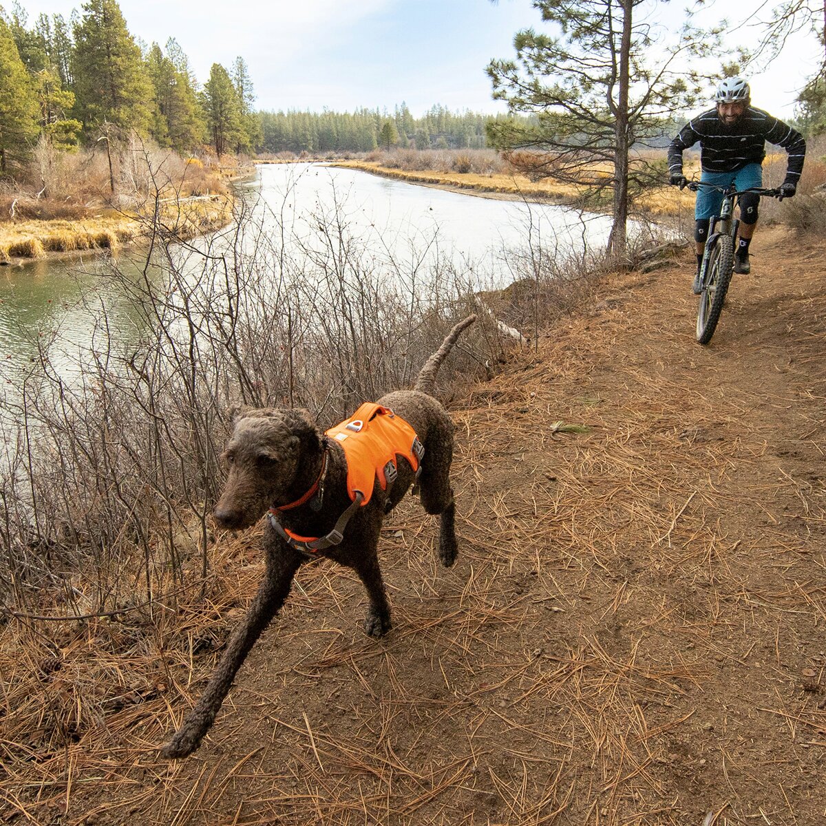Ruffwear Dog Harness Web Master (Size L/XL (Chest 81-107cm) - Blaze Orange)