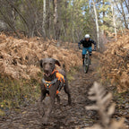 Ruffwear Dog Harness Web Master (Size L/XL (Chest 81-107cm) - Blaze Orange)