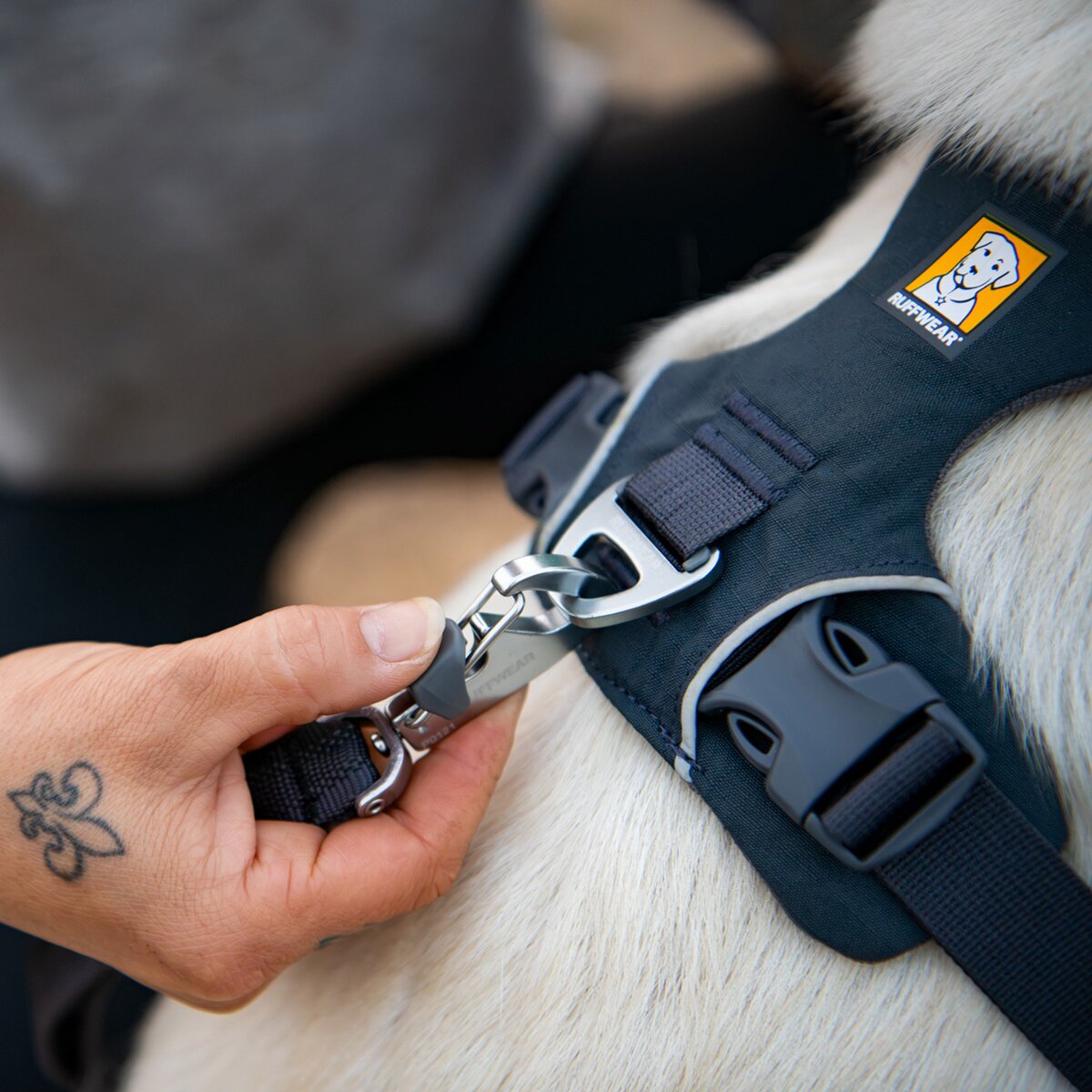 Ruffwear Front Range® dog harness new model (Size M (chest 69-81 cm) – Basalt Gray)