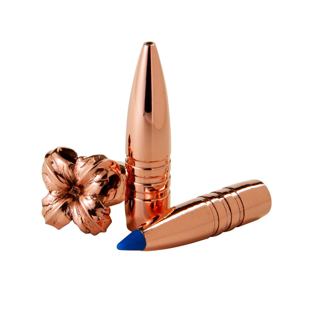 Barnes Bullets .224 3.2g/50grs. TTSX (Kaliber .224 (5,69 mm))