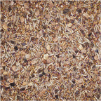 BSV Saaten Seed mixture WaidGreen® Wildacker Stammtisch 5 kg