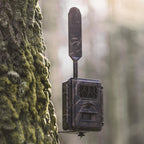 Seissiger Wildlife camera Pro-Cam LTE - SUPERSIM Edition