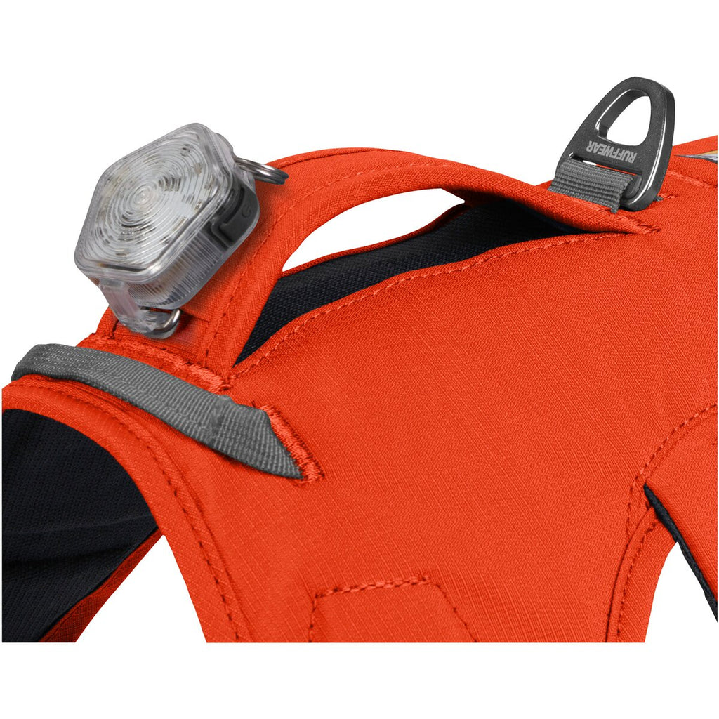 Ruffwear Dog Harness Web Master (Size L/XL (Chest 81-107cm) - Blaze Orange)