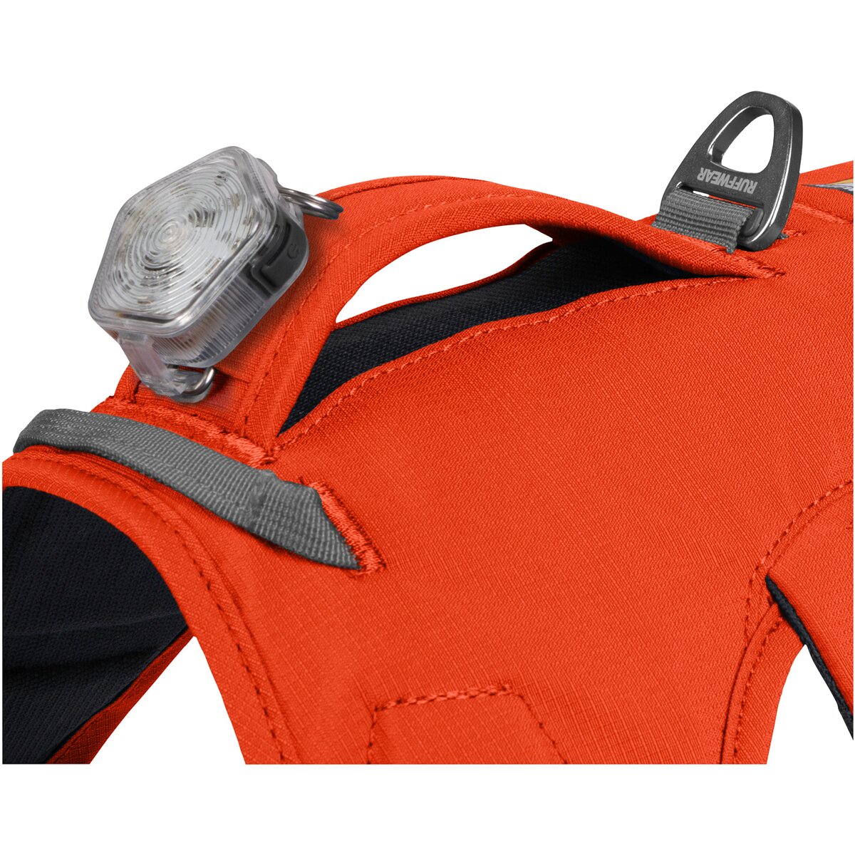 Ruffwear Dog Harness Web Master (Size L/XL (Chest 81-107cm) - Blaze Orange)