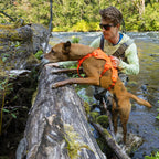 Ruffwear Dog Harness Web Master™ (Size XXS (Chest 33-43cm) - Blaze Orange)