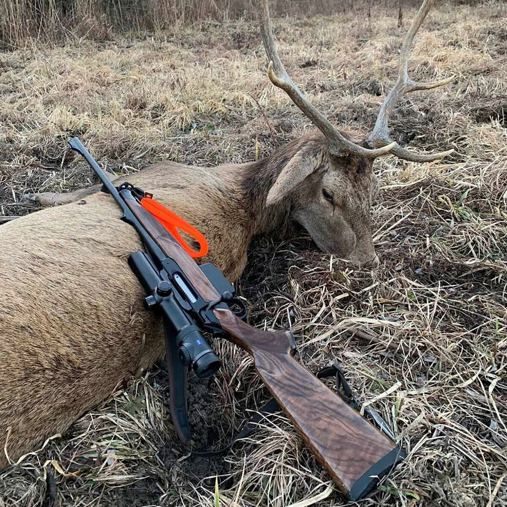 Sauenhammer Rifle sling SH2 driven hunt
