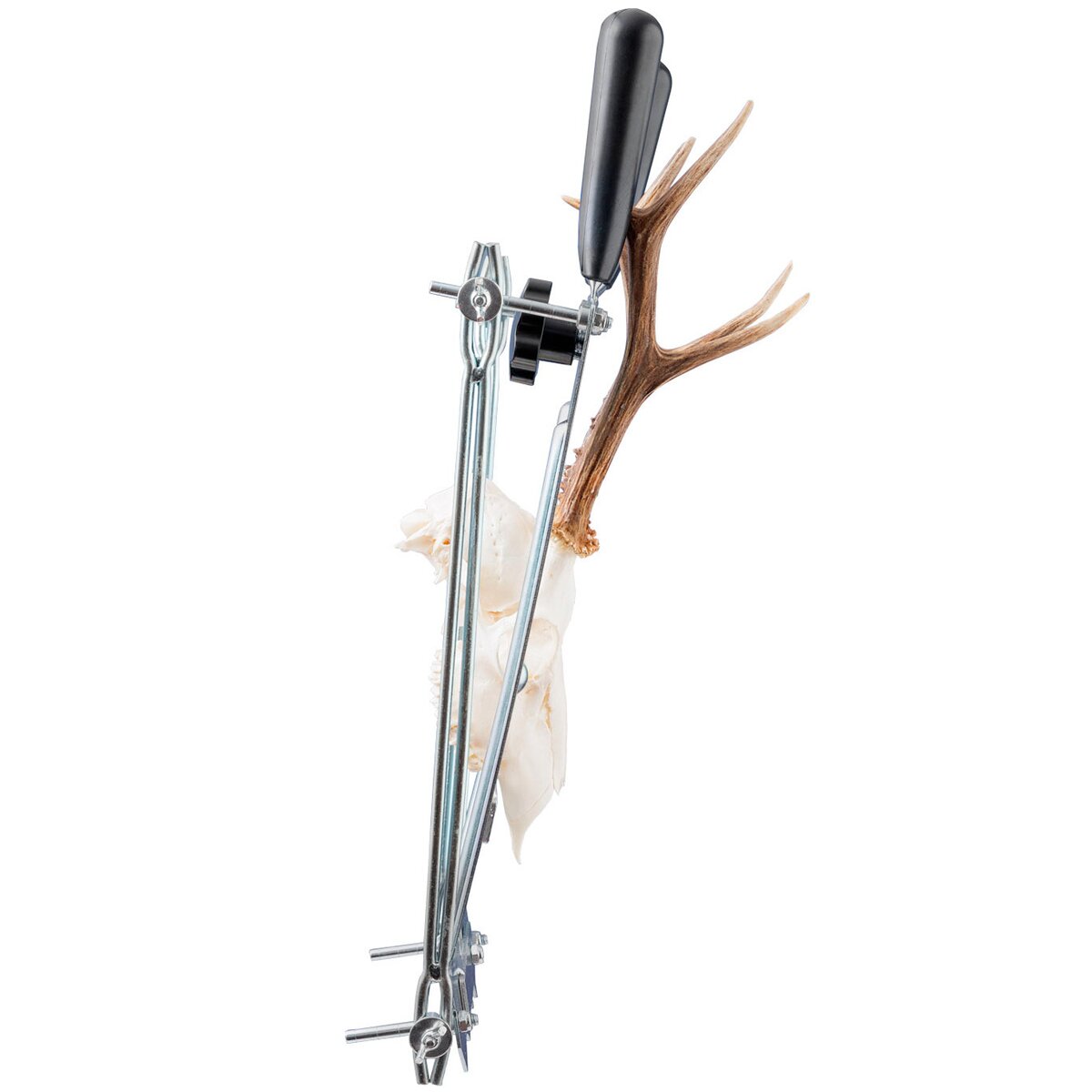 EUROHUNT Antler removal device 2.0