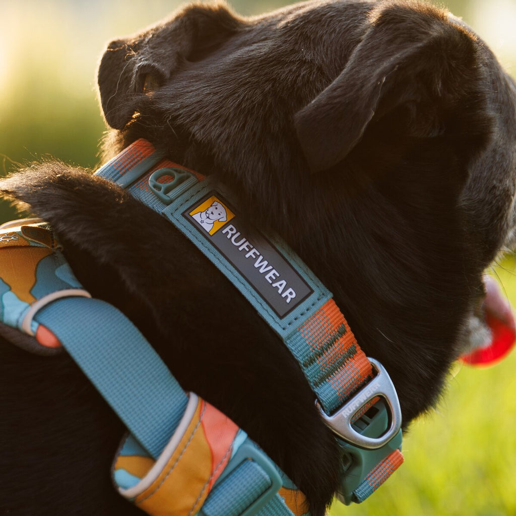 Ruffwear Collar Front Range® new model (Neck circumference 51-66 cm - Spring Fade)