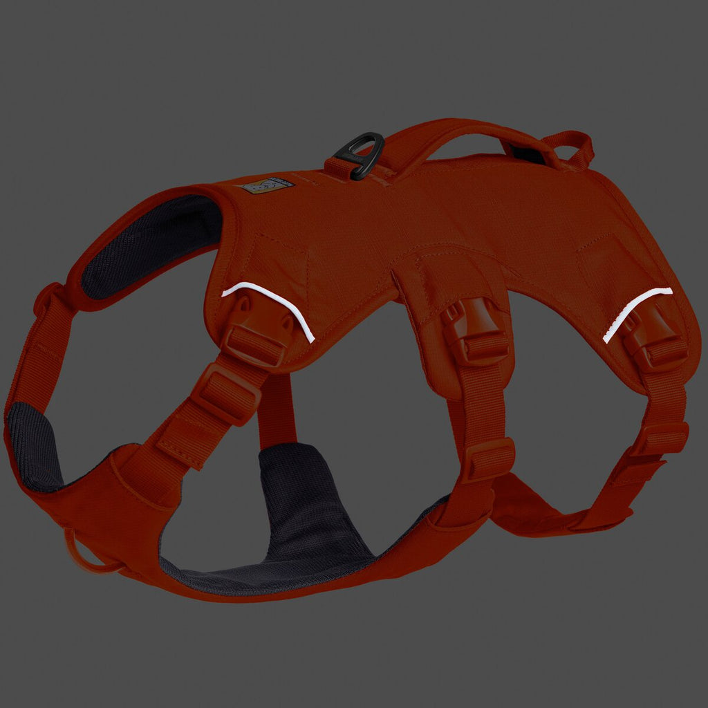Ruffwear Dog Harness Web Master™ (Size XS (Chest 43-56cm) - Blaze Orange)
