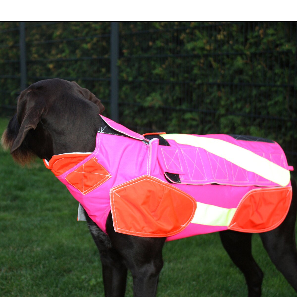 Out Dog Dog protective vest standard (Chest circumference 50 cm – female)