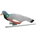 Decoy pigeon, half shell