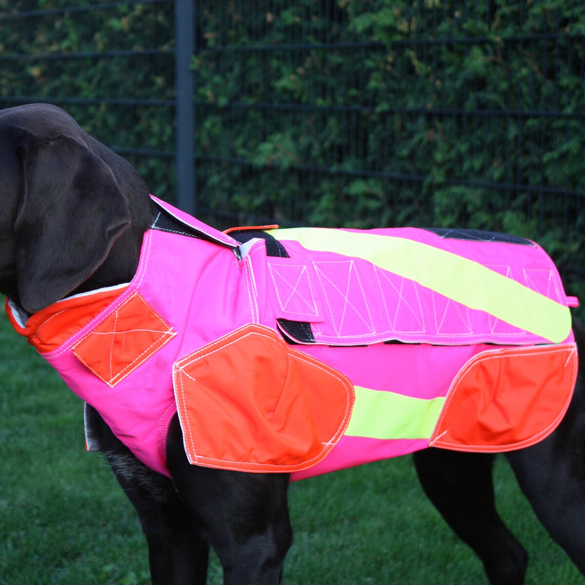 Out Dog Dog protective vest standard (Chest circumference 80 cm – female)