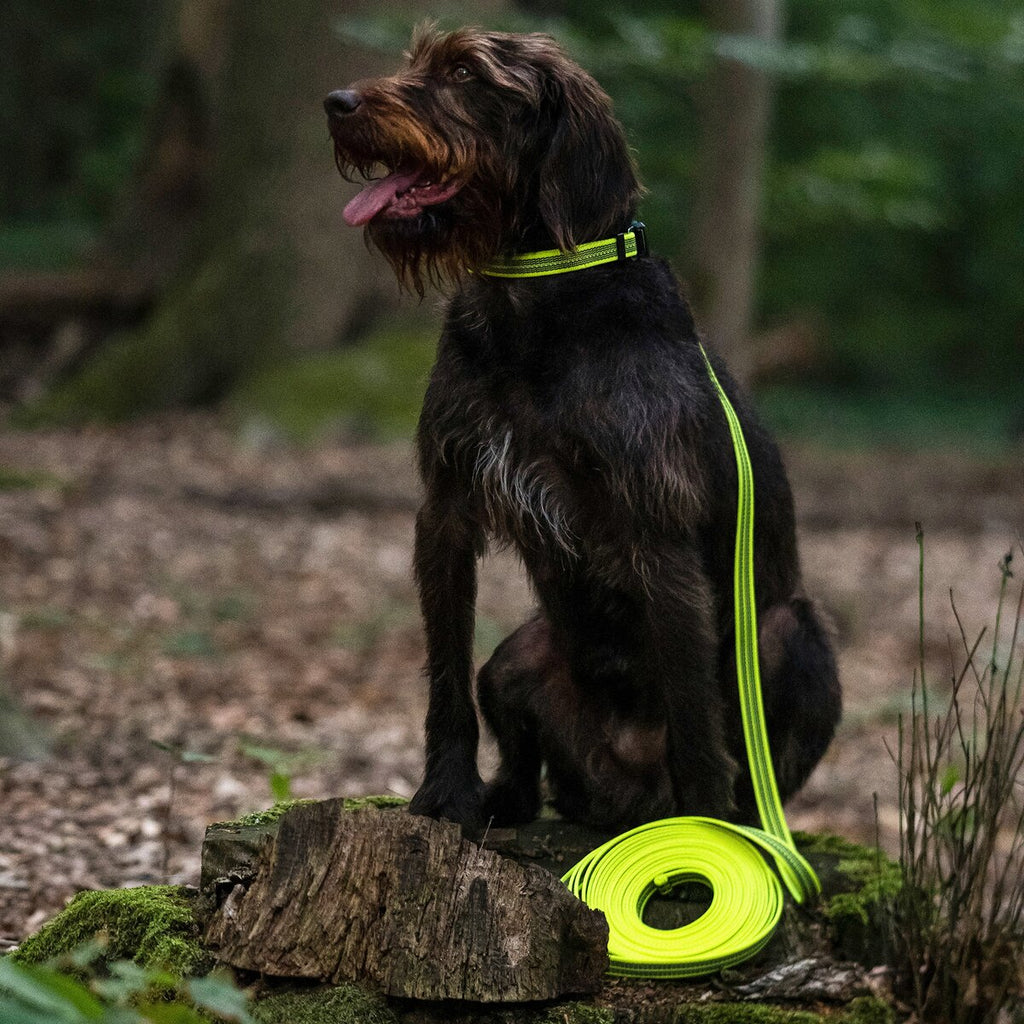 Sprenger Rubberized dog leash without hand strap (Signal yellow – length 3 m)