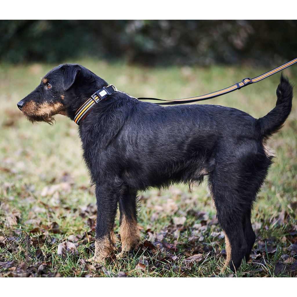 Heim Collar signal (Size M (length 43-50cm, width 25mm))