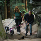 Ruffwear Hi & Light™ Harness dog harness (Size L/XL (chest 81-107 cm) – Basalt Gray)
