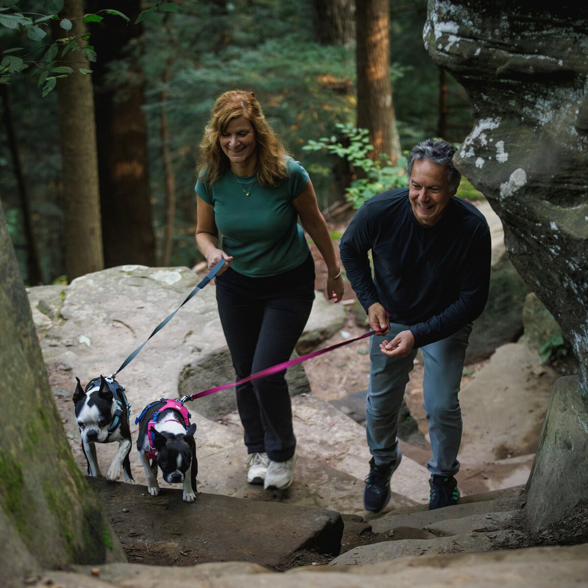 Ruffwear Hi & Light™ Harness dog harness (Size L/XL (chest 81-107 cm) – Basalt Gray)