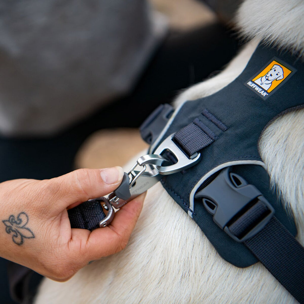 Ruffwear Front Range® dog harness new model (Size L/XL (chest 81-107 cm) – Basalt Gray)