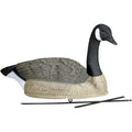 Canada goose decoy