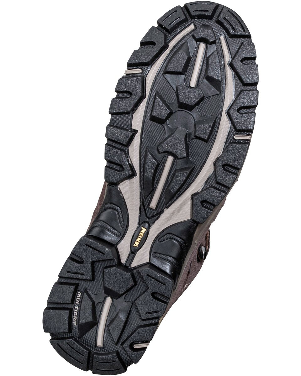 MEINDL Aschau GTX boots (Brown)
