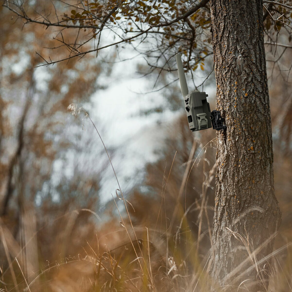 Spypoint Tree tripod for everyone Spypoint Wildlife cameras