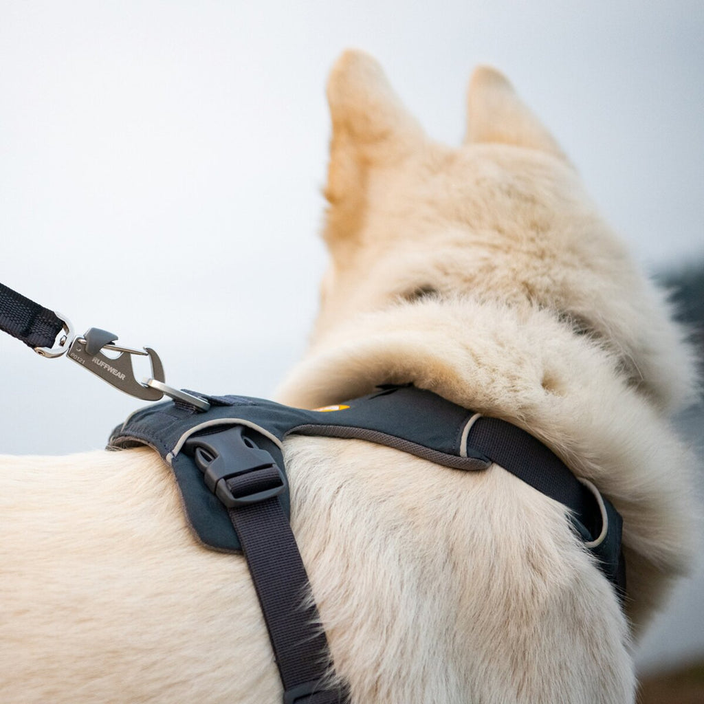 Ruffwear Front Range® dog harness new model (Size XS (chest circumference 43-56 cm) – Basalt Grey)