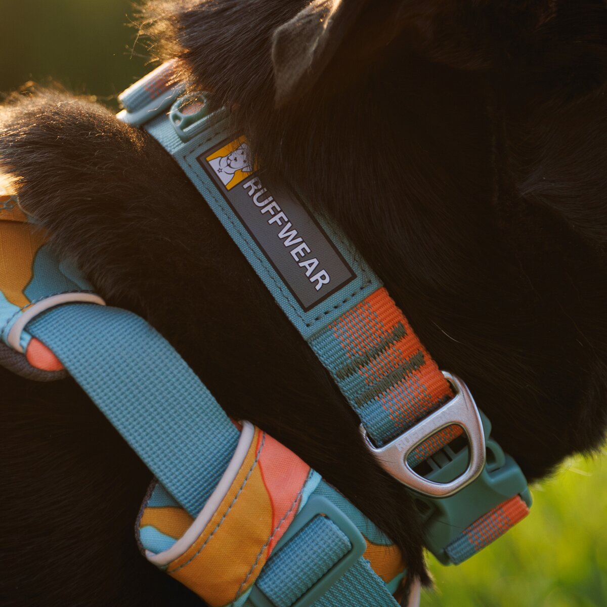 Ruffwear Collar Front Range® new model (Neck circumference 51-66 cm - Spring Fade)