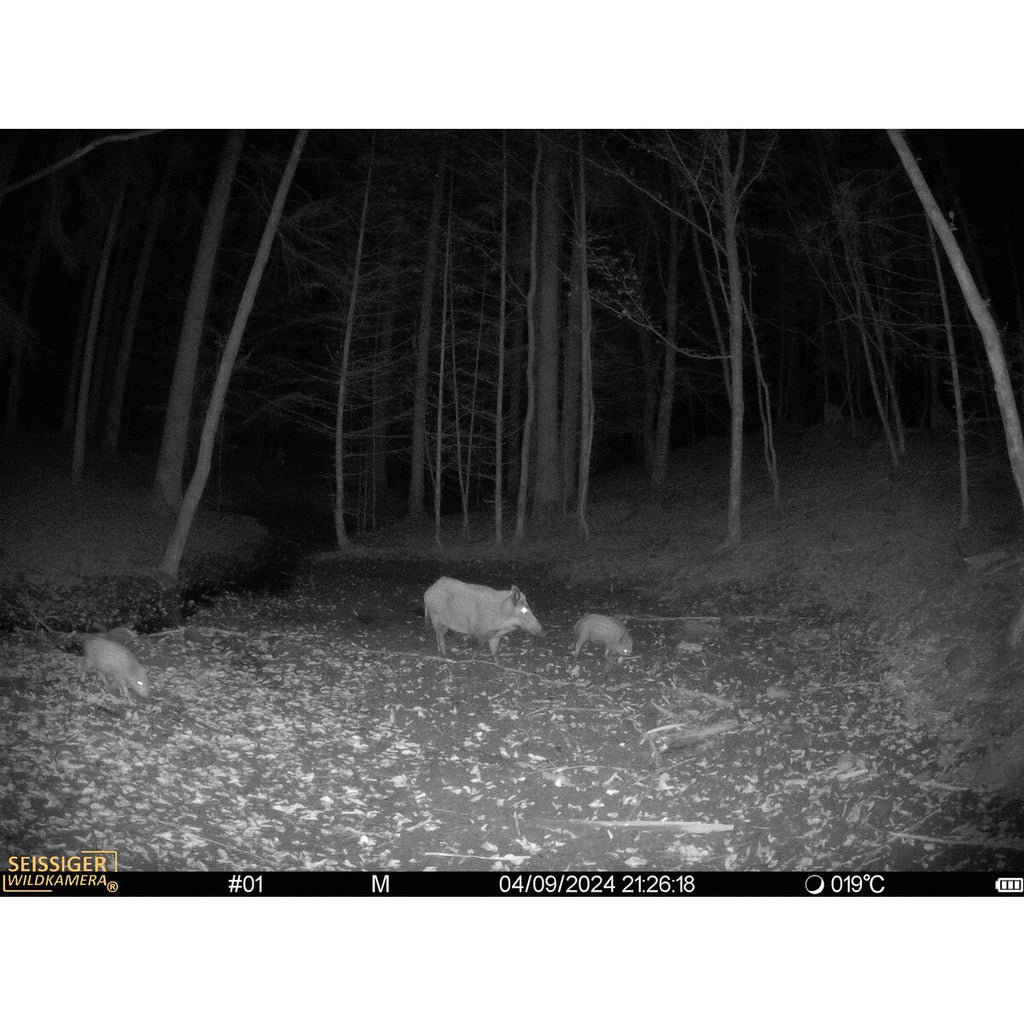 Seissiger Wildlife camera Mini-Cam