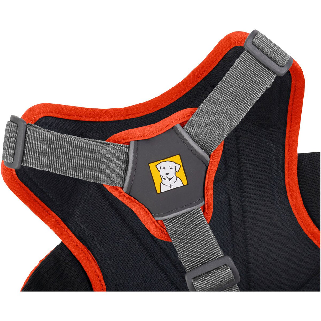 Ruffwear Dog Harness Web Master (Size L/XL (Chest 81-107cm) - Blaze Orange)