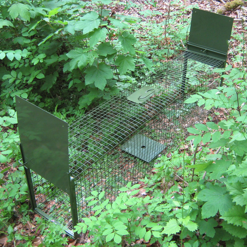 Live catch trap – two trap doors ((LxWxH): approx. 150x30.5x38 cm, weight: 12.5 kg)