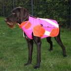 Out Dog Dog protective vest standard (Chest circumference 50 cm – female)