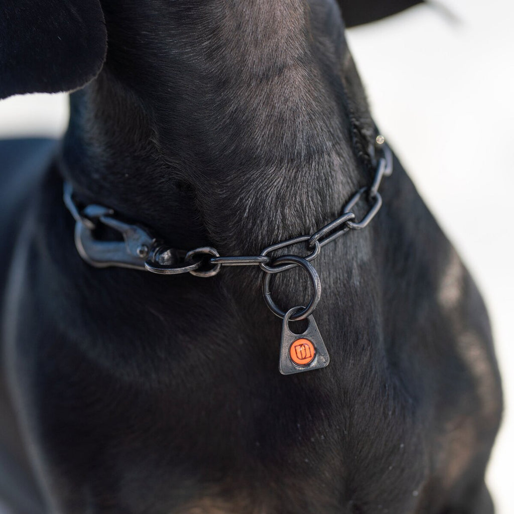 Sprenger Necklace with Sprenger-Hook (Black - 42cm)