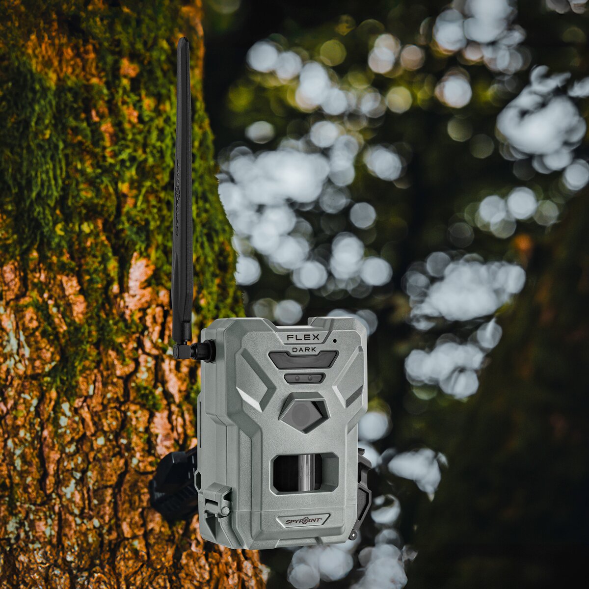 Spypoint Wildlife Camera Flex-Dark – Twin Pack