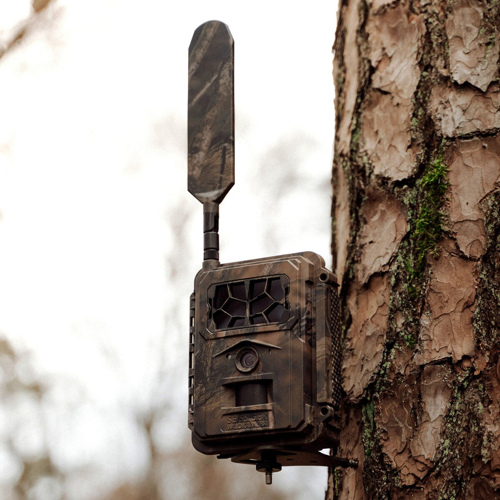 Seissiger Wildlife camera Base-Cam LTE SUPERSIM Edition