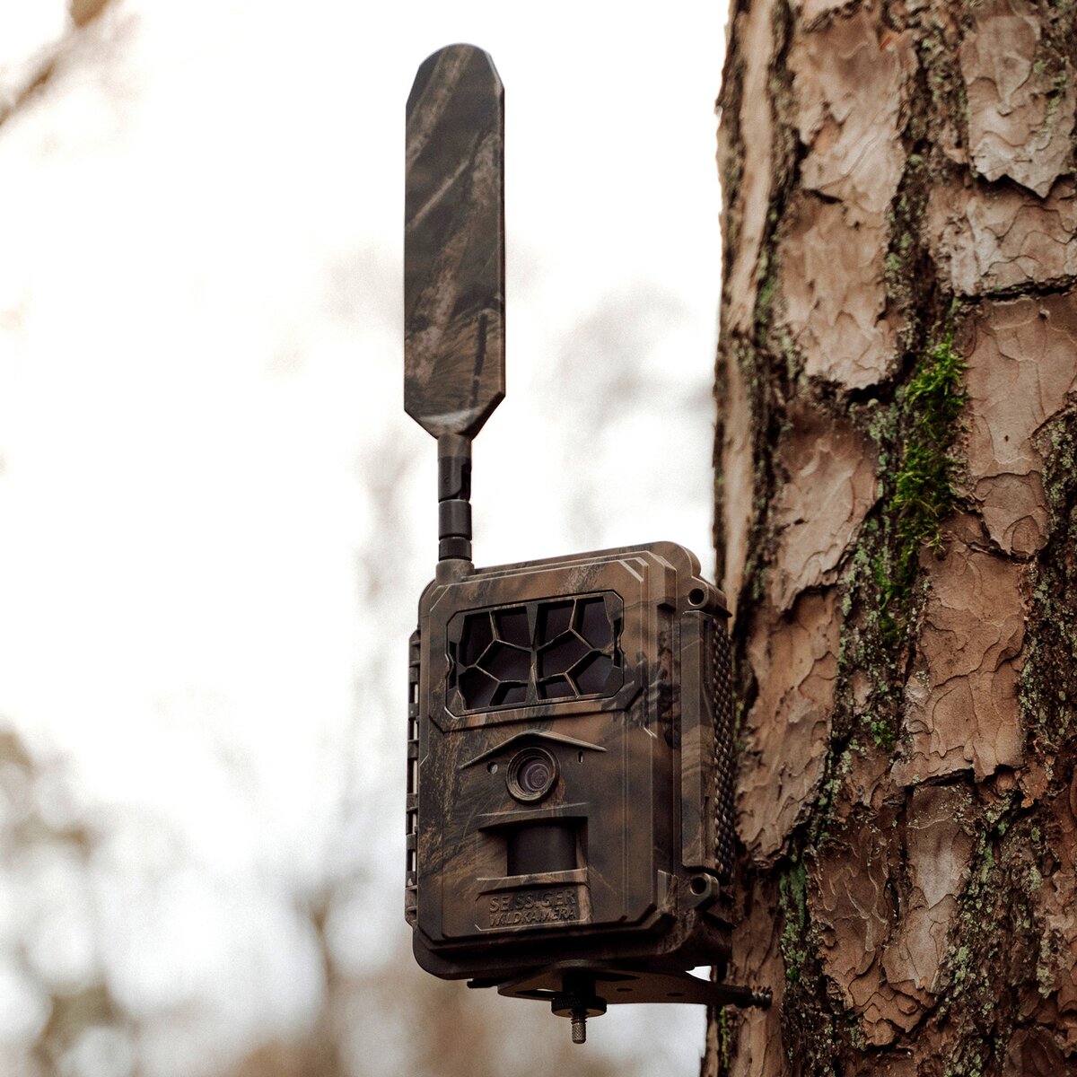 Seissiger Wildlife camera Base-Cam LTE SUPERSIM Edition