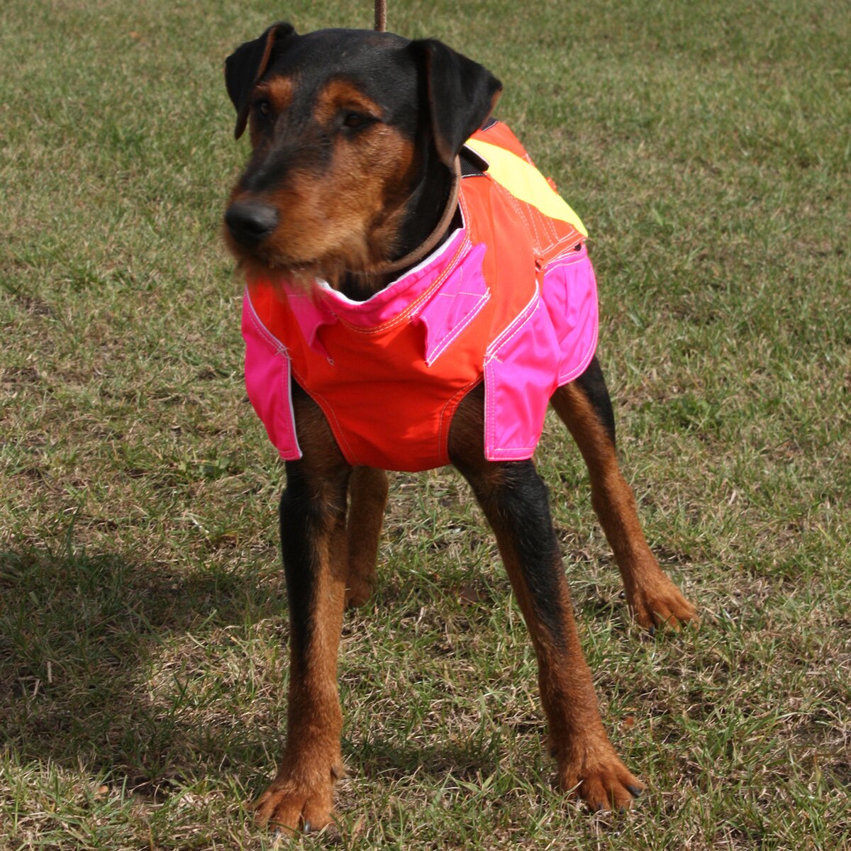 Out Dog Dog protective vest standard (Chest circumference 85 cm – male)