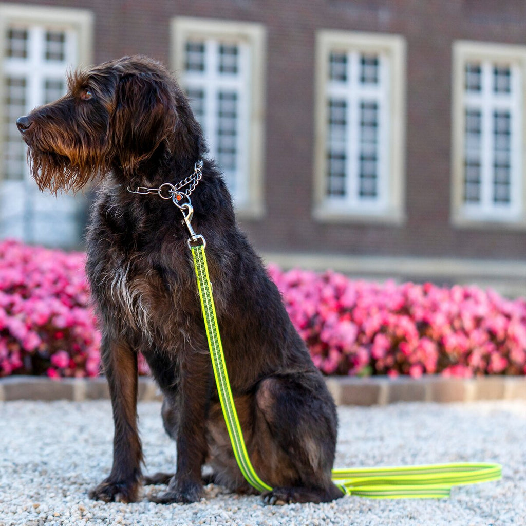 Sprenger Rubberized leash – 3-way adjustable (Signal yellow)
