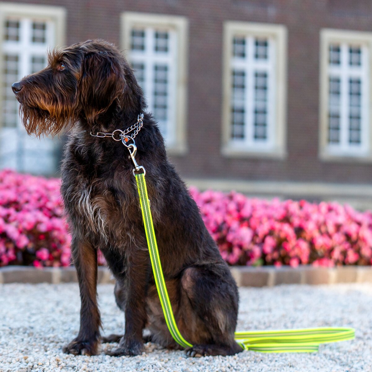 Sprenger Rubberized leash – 3-way adjustable (Signal yellow)