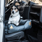 Alpenheat Fire-Petcushion AJ11 heated pet bed
