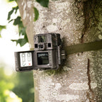 Seissiger Wildlife camera Mini-Cam