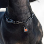 Sprenger Necklace with Sprenger-Hook (Black - 36cm)