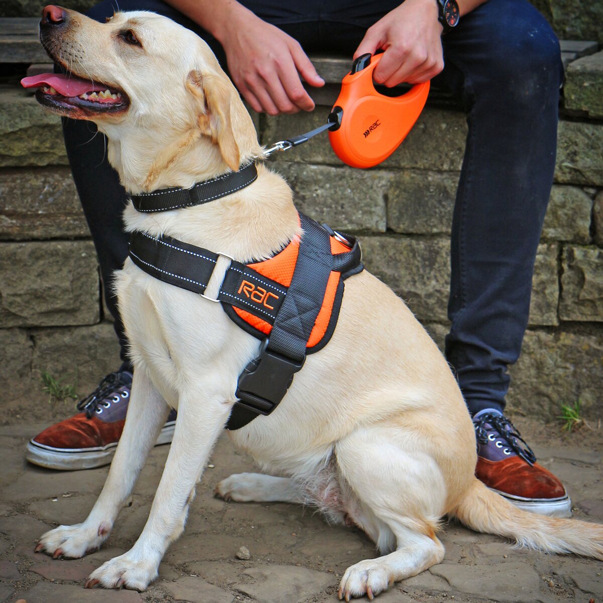 Heim RAC Comfort harness (Size S - Neck circumference 22-30cm, Chest circumference 44-50cm)