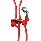 Horse Gear Leash (red)