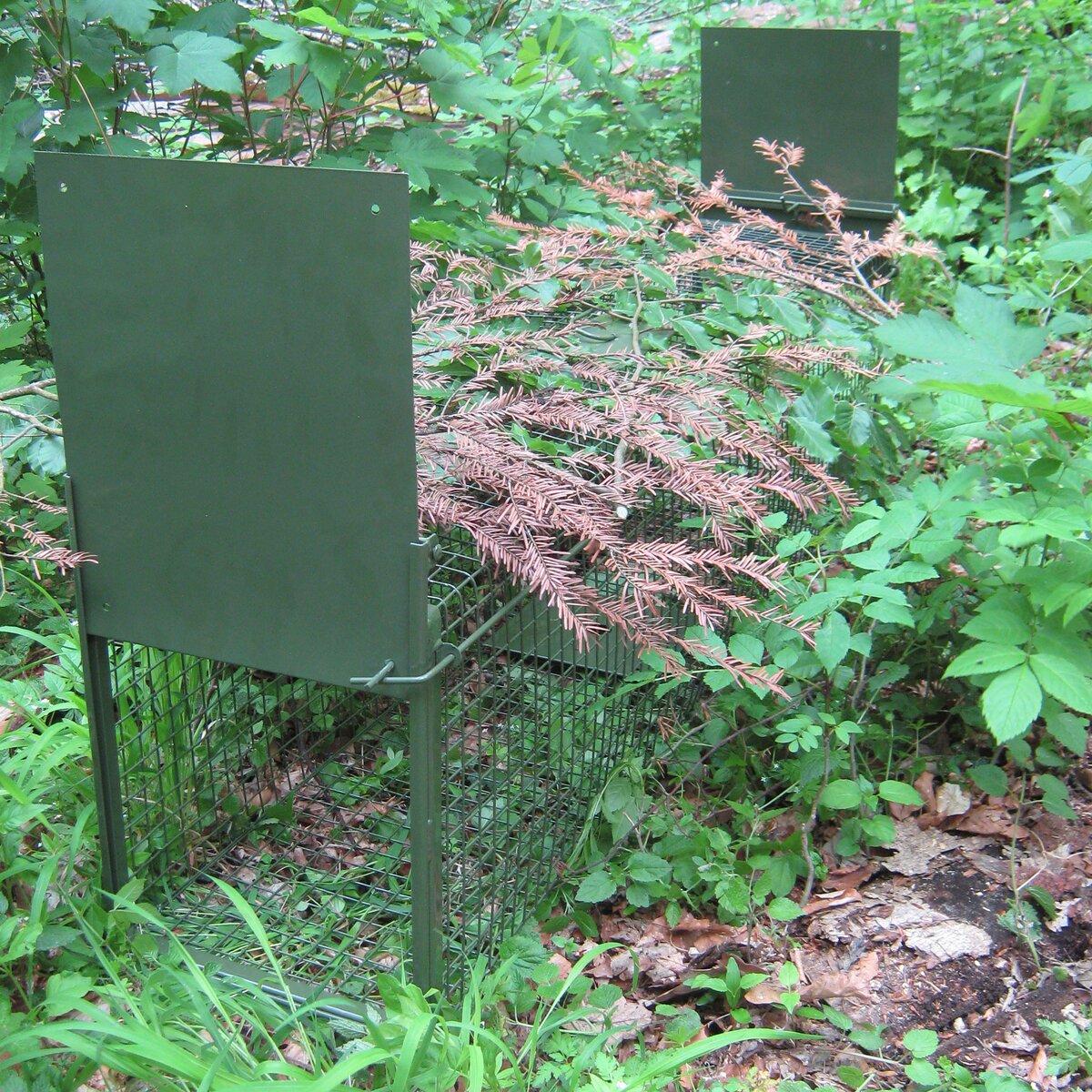 Live catch trap – two trap doors ((LxWxH): approx. 150x30.5x38 cm, weight: 12.5 kg)