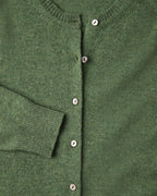 Highmoor Lambswool cardigan (Green)