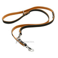 Heim Leather leash