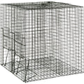 Live capture trap
