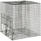 Live capture trap