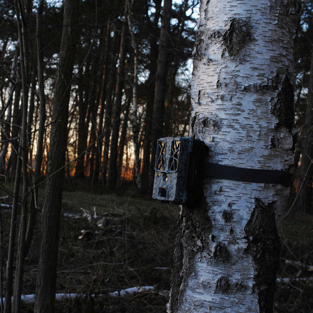 Spypoint Force Pro wildlife camera