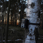 Spypoint Force Pro wildlife camera