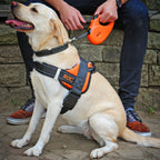 Heim RAC Comfort harness (Size XL - Neck circumference 36-48cm, Chest circumference 70-85cm)